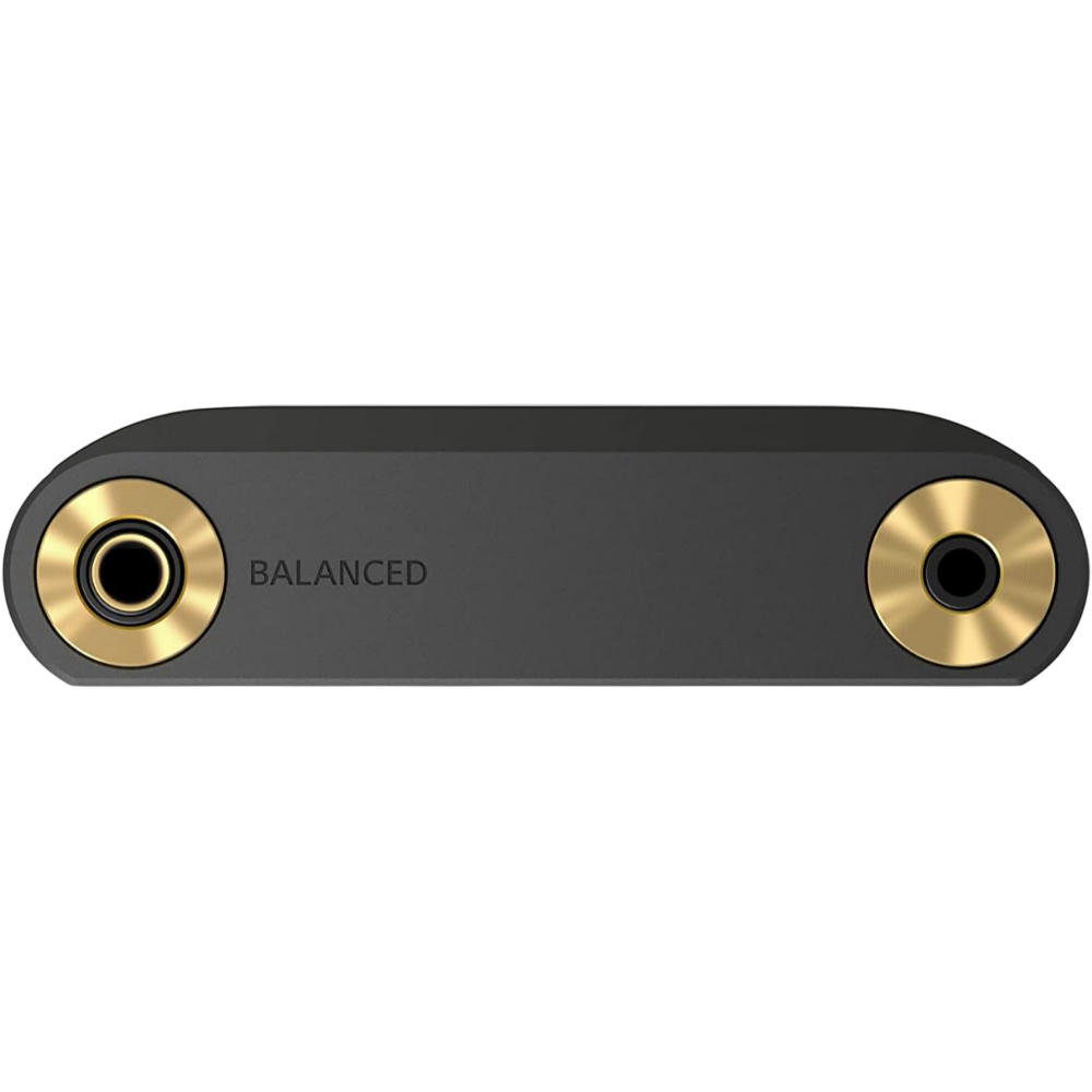 Sony NW-WM1AM2 audio output ports