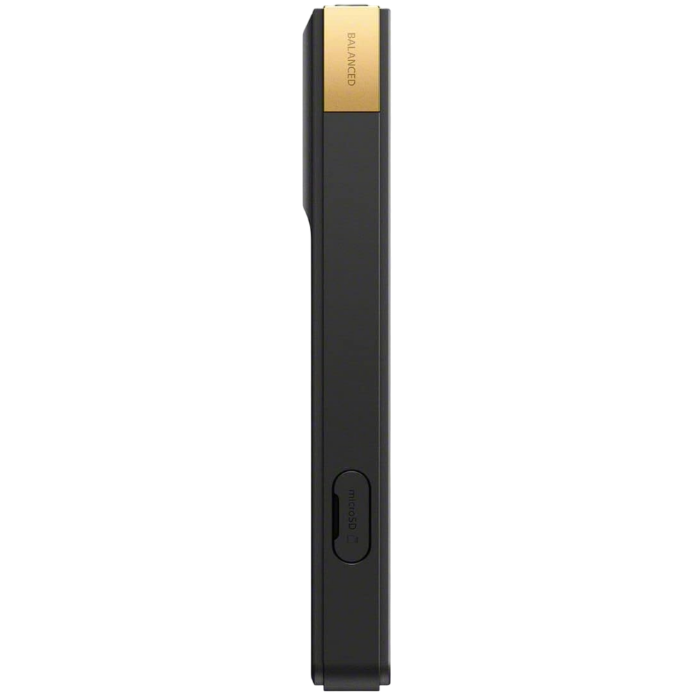 Sony NW-ZX707 side microSD slot detail
