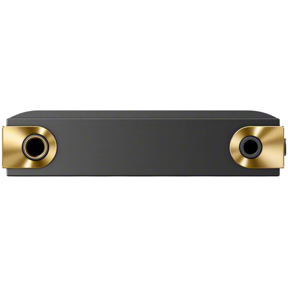 Sony NW-ZX707 audio output ports close-up