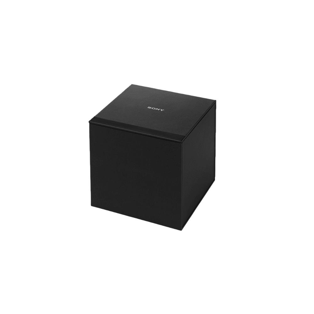 Sony IER-Z1R outer packaging