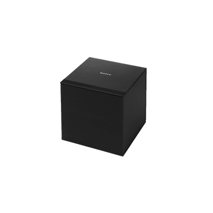 Sony IER-Z1R outer packaging