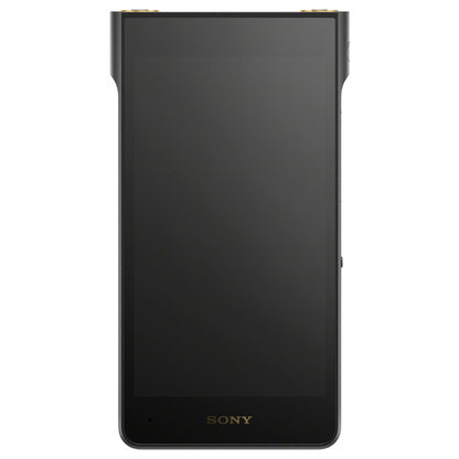 Sony NW-WM1AM3 front panel with screen off