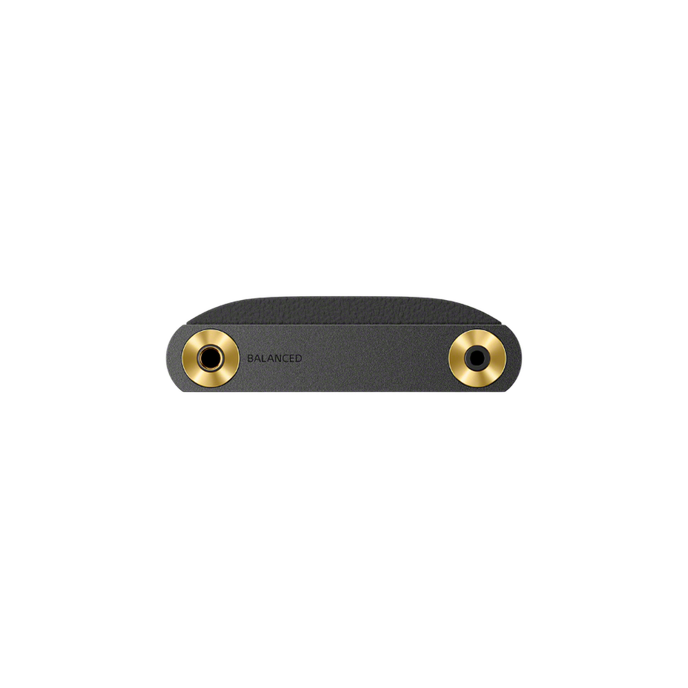 Sony NW-WM1AM3 audio output ports close-up
