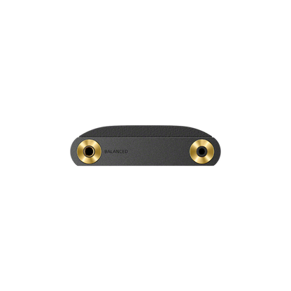 Sony NW-WM1AM3 audio output ports close-up