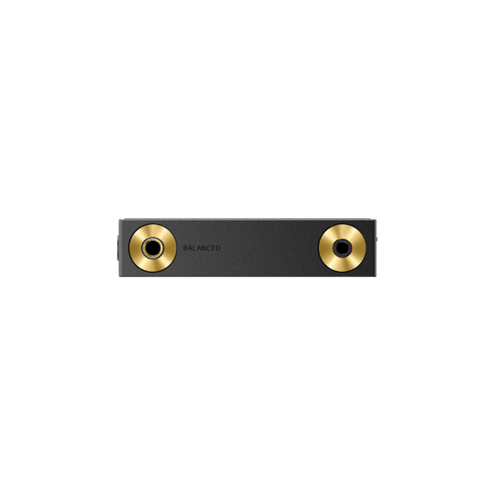 Sony NW-ZX900 audio output ports close-up