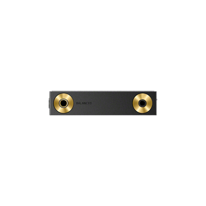 Sony NW-ZX900 audio output ports close-up